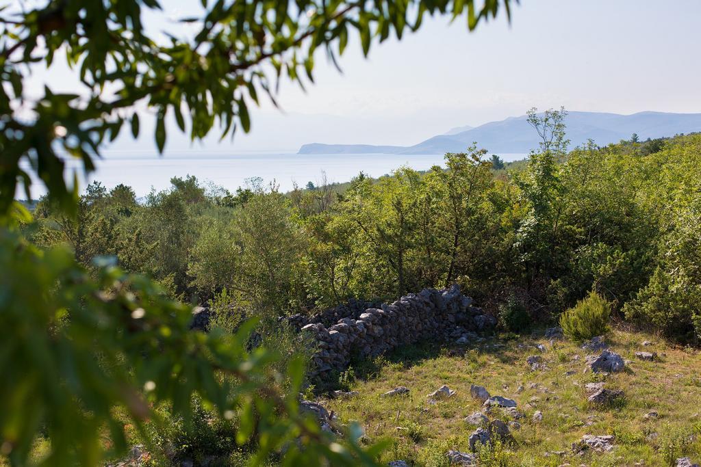 Villa Mir Polje  المظهر الخارجي الصورة